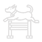 dog-jumping