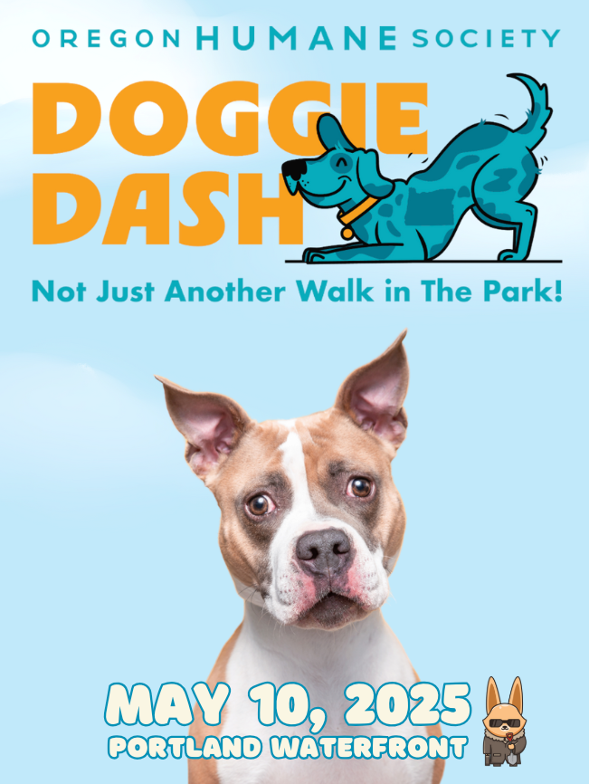 Help a Pet in Need, Give to a Great Organization!